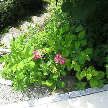 Haus Aschau Lejlighed Bad Ischl