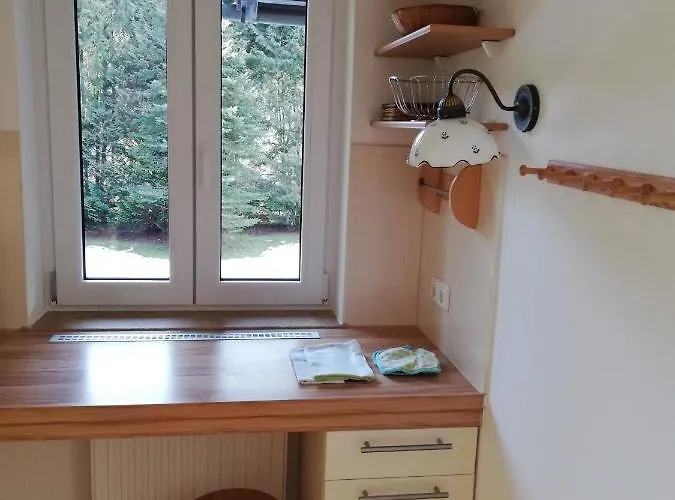 Haus Aschau 公寓 巴德伊舍