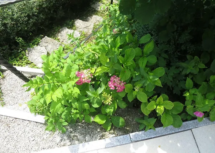 Haus Aschau Διαμέρισμα Bad Ischl